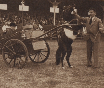 300464 Afbeelding van een deelnemer aan het door de Nationale Vereniging tot het houden van Vee- en ...